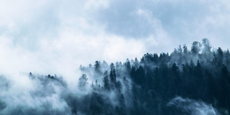 Lamanya Adam tinggal di Surga (2)