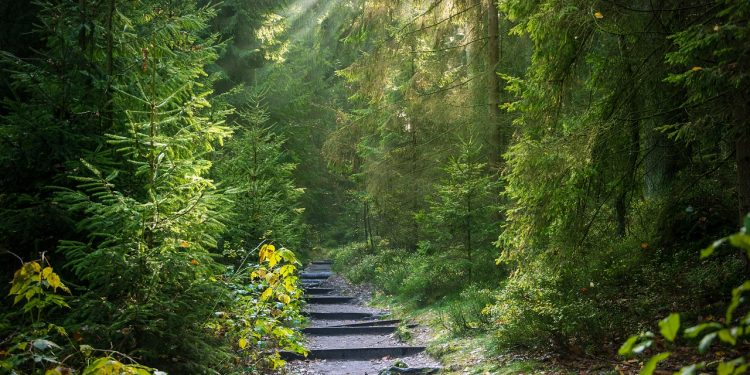 Hikmah di Balik Kisah Taubat Adam dan Hawa (1)