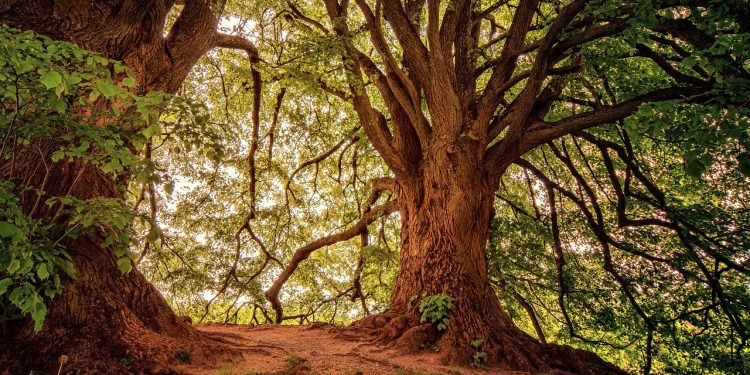 Tempat pendaratan Nabi Adam