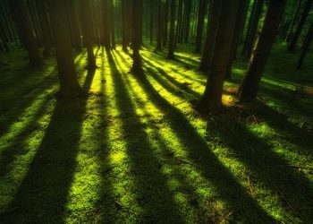 Kisah Istri Rasulullah yang Mengabdi dengan Kesetiaan dan Keikhlasan (3)