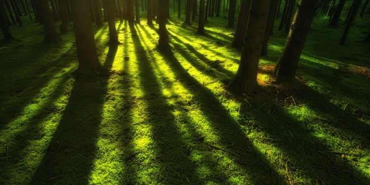 Kisah Istri Rasulullah yang Mengabdi dengan Kesetiaan dan Keikhlasan (3)