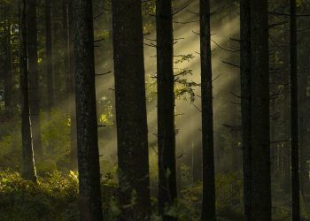 Kisah Ibunda yang mengasuh Rasulullah (2)