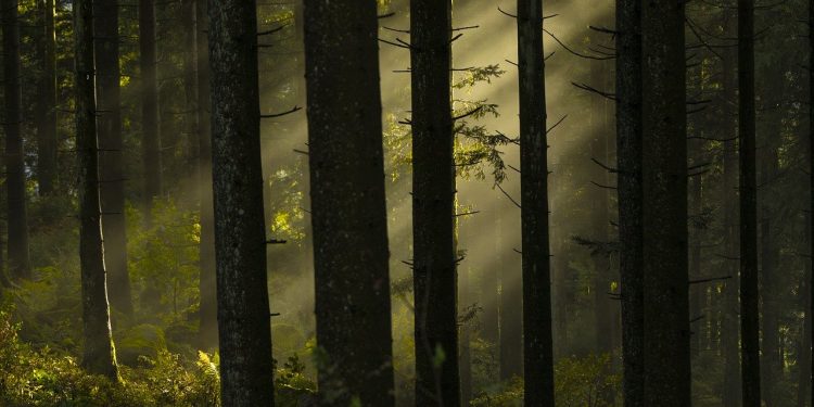 Kisah Ibunda yang mengasuh Rasulullah (2)