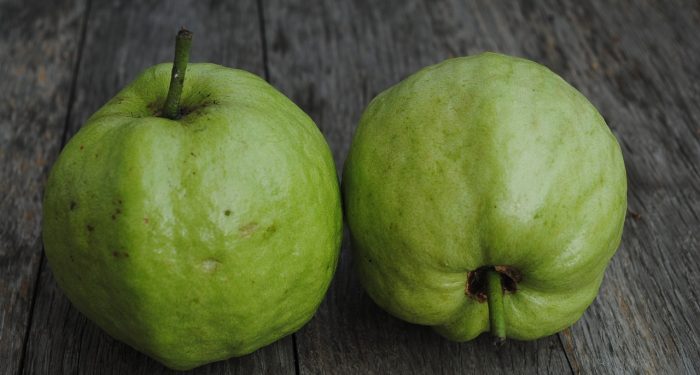 Jambu Biji Memiliki Kandungan Zat Gizi yang Sangat Tinggi