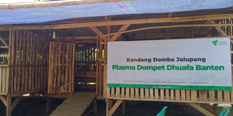 Dompet Dhuafa Menyejahterakan Masyarakat dan Pelajar untuk Pembelajaran Beternak dalam Kandang Domba Jalupang
