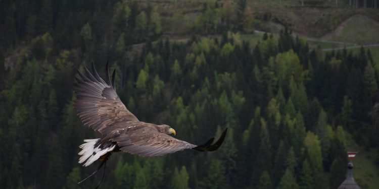 Jangan Mengambil Keputusan Saat Marah