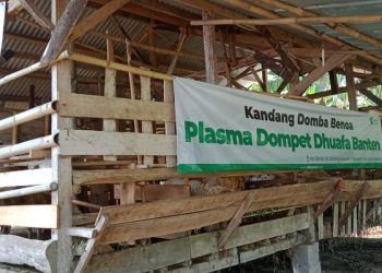 Awal Tahun 2024, Dompet Dhuafa Dirikan Kandang Neo Plasma di Serang Banten