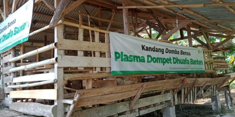 Awal Tahun 2024, Dompet Dhuafa Dirikan Kandang Neo Plasma di Serang Banten