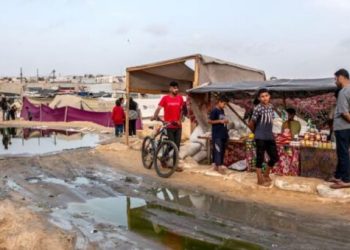 Ancaman Wabah Kolera Meningkat di Gaza Seiring Runtuhnya Sistem Kesehatan