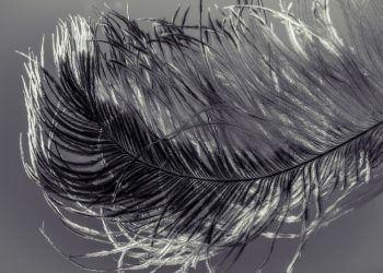 Seimbang Antara Lembut dan Tegas