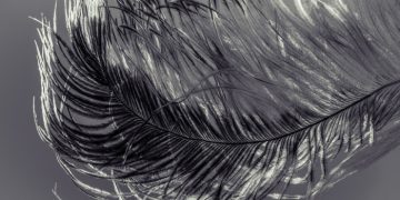 Seimbang Antara Lembut dan Tegas