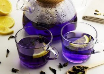 Meningkatkan Sistem Imun Tubuh, Berikut Cara Membuat Teh Bunga Telang