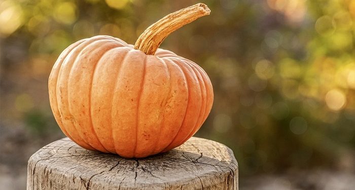 Labu Kuning Cocok untuk Diet Rendah Kalori