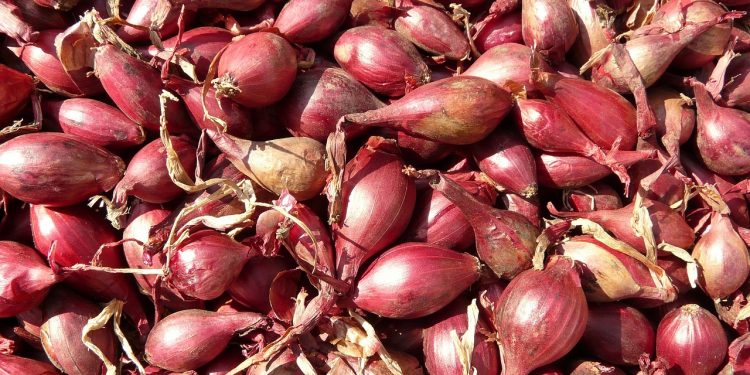 Trik Mudah Mengiris Bawang Merah Tanpa Membuat Pedas Mata