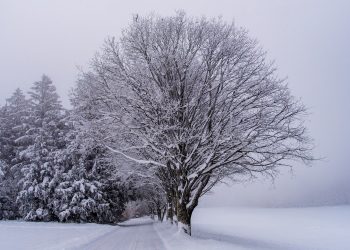 Khadijah: Istri Tercinta Nabi Muhammad yang Menginspirasi Keimanan dan Kesetiaan (3)