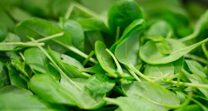 Memiliki Sifat Antioksidan, Diketahui Sayuran Bayam Kaya akan Klorofil dan Karoten