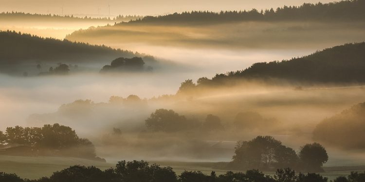 Kisah Istri Rasulullah yang Mengabdi dengan Kesetiaan dan Keikhlasan