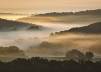Apakah Hawa Membujuk Adam untuk Memakan Buah itu?