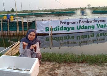 Mengadakan Program Pemberdayaan, Dompet Dhuafa Membudidaya Udang Vaname
