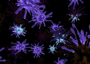 Cara Membunuh Kuman yang Ada di Rumah