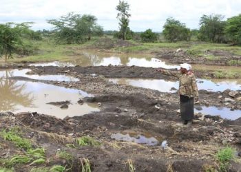 Hujan Deras Menenggelamkan Lahan Pertanian di Kenya, Mengancam Ketahanan Pangan
