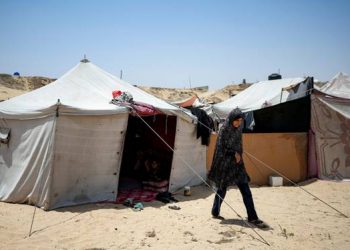 Gelombang Panas dan Perang Memunculkan Ular dan Kalajengking di Kamp Pengungsian Gaza