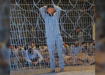 Tentara Israel Memperkosa Tahanan Palestina Secara Berkelompok di Penjara Sde Teiman