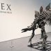 Fosil Stegosaurus Terbesar Dilelang Seharga 6 Juta Dolar