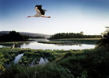 Kita Tak selalu Bisa