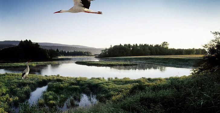 Kita Tak selalu Bisa