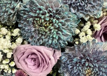 Manusia yang masuk surga tanpa dihisab