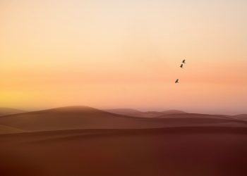 Meneladani Spirit Hijrah Sahabat Shuhaib Bin Sinan Ar-Rumi (3)