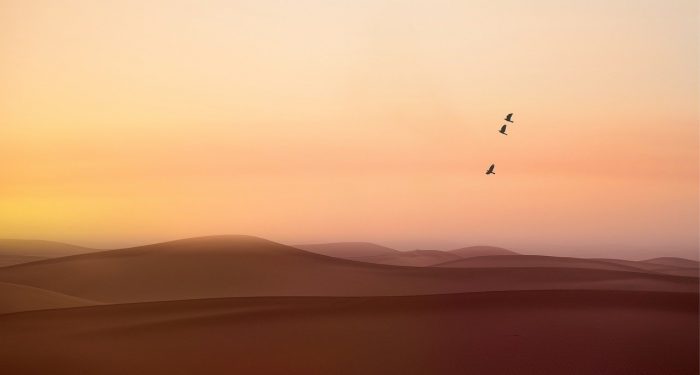 Meneladani Spirit Hijrah Sahabat Shuhaib Bin Sinan Ar-Rumi (3)