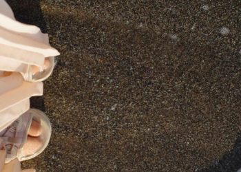 Manfaatkan Liburan Sekolah, Natasha Rizki Rekreasi ke Pantai Bersama Ketiga Anaknya