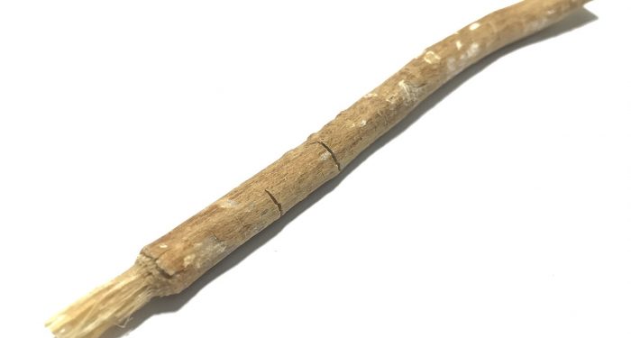 Siwak, Obat Pencegahan untuk Gigi Anda
