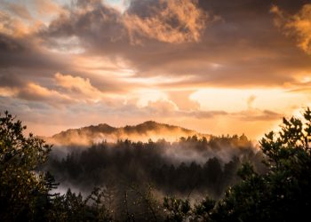 Habitatmu Menentukan Kualitasmu (2)