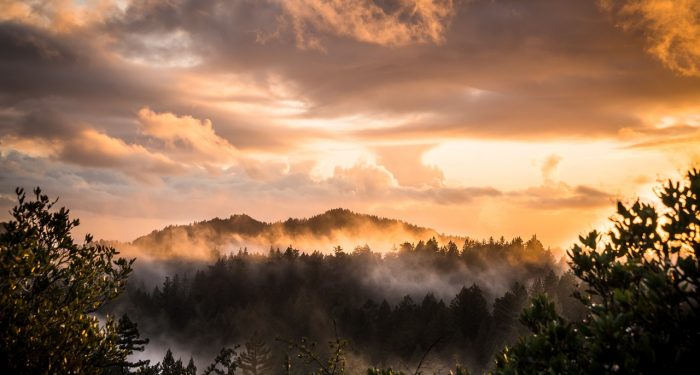 Habitatmu Menentukan Kualitasmu (2)