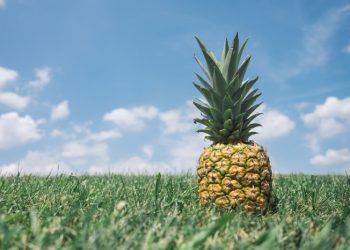 Bergizi Tinggi, Buah Nanas jadi Sumber Mangan yang Baik