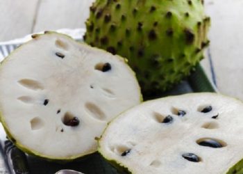 Sirsak Memiliki Kandungan Zat Gizi, Serat, Mineral Hingga Vitamin