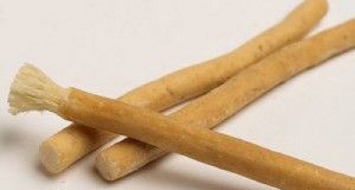 Cara Terbaik Melindungi Gigi Adalah Dengan Siwak