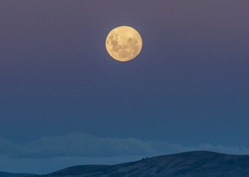 12 Warga Palestina Syahid dalam Serangan Udara Israel di Zona Aman