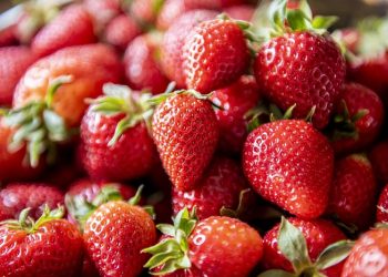 Kandungan Vitamin C Pada Buah Stroberi Lebih Tinggi Dibanding Buah Jeruk