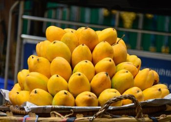 Berikut Lima Cara Memilih Mangga yang Segar