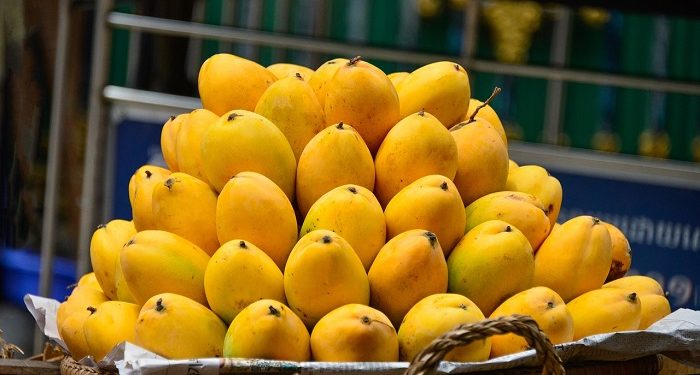 Berikut Lima Cara Memilih Mangga yang Segar