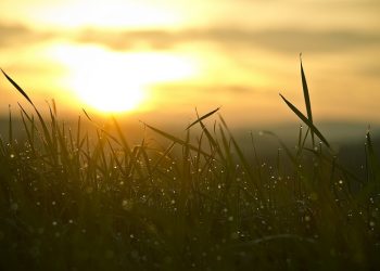 Tips Berjemur di Bawah Sinar Matahari yang Lebih aman