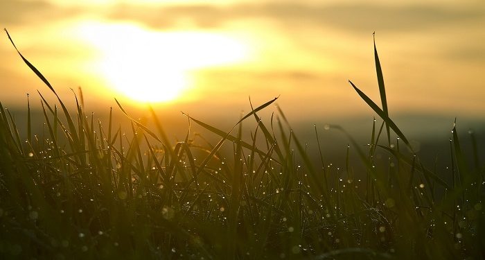 Tips Berjemur di Bawah Sinar Matahari yang Lebih aman