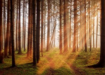 Ketahui, Waktu Berjemur yang Tepat Bagi Kulit