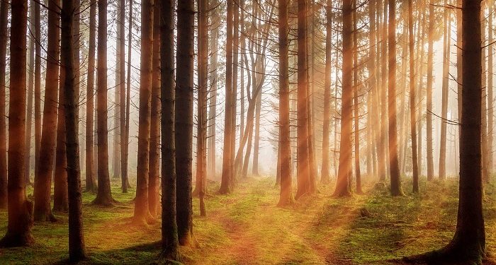 Ketahui, Waktu Berjemur yang Tepat Bagi Kulit