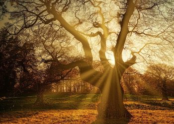 Lima Penyebab Kulit Kering