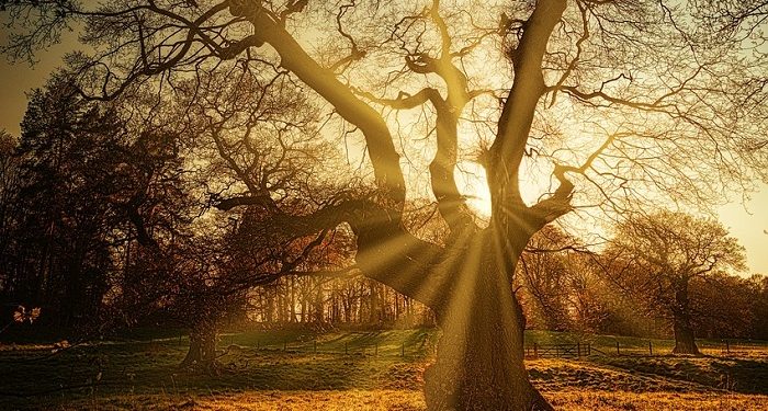 Lima Penyebab Kulit Kering